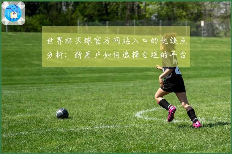 世界杯买球官方网站入口的优缺点分析：新用户如何选择合适的平台使用体验