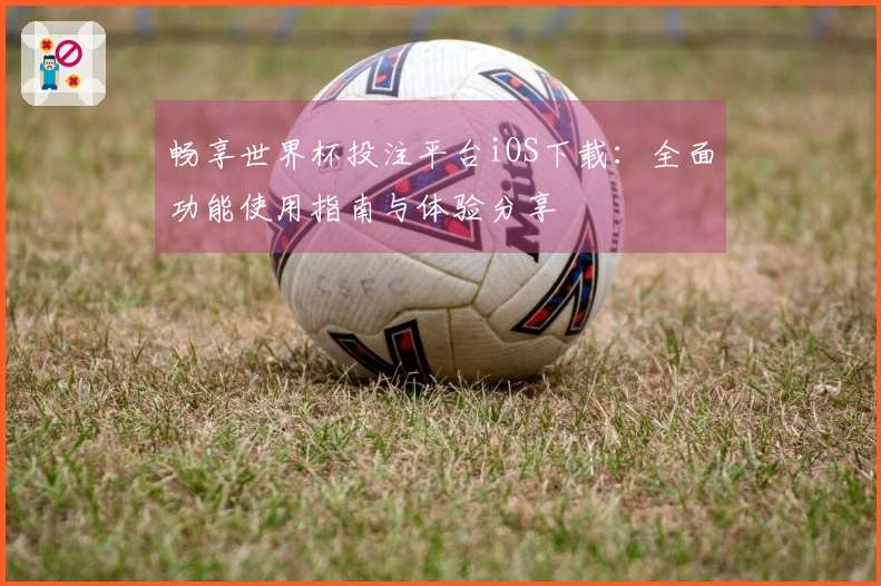 畅享世界杯投注平台iOS下载：全面功能使用指南与体验分享