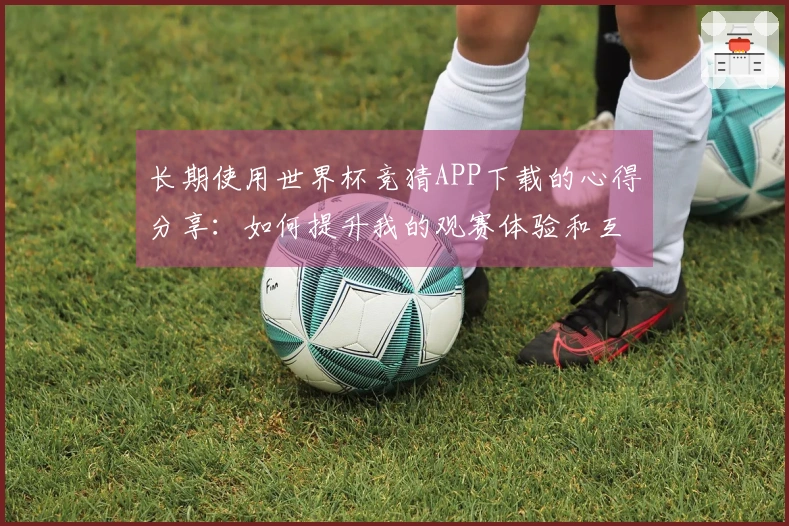 长期使用世界杯竞猜APP下载的心得分享：如何提升我的观赛体验和互动乐趣