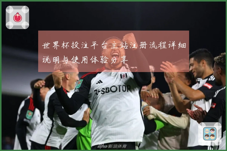世界杯投注平台主站注册流程详细说明与使用体验分享