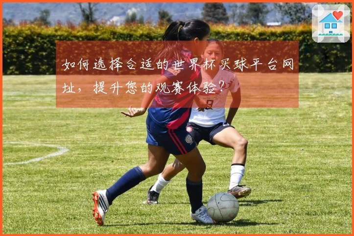 如何选择合适的世界杯买球平台网址，提升您的观赛体验？