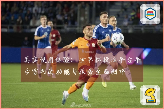 真实使用体验：世界杯投注平台平台官网的功能与服务全面测评