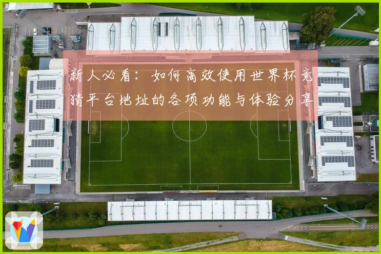 新人必看：如何高效使用世界杯竞猜平台地址的各项功能与体验分享