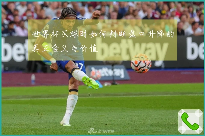 世界杯买球时如何判断盘口升降的真正含义与价值