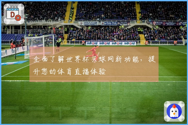 全面了解世界杯买球网新功能，提升您的体育直播体验