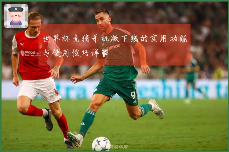 世界杯竞猜手机版下载的实用功能与使用技巧详解