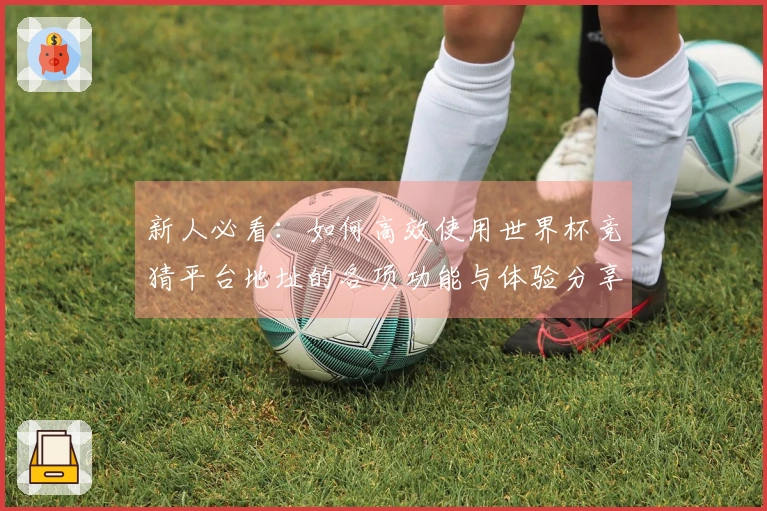 新人必看：如何高效使用世界杯竞猜平台地址的各项功能与体验分享