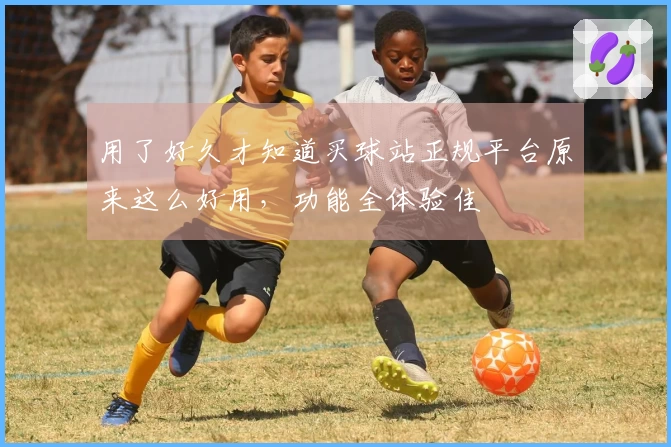 用了好久才知道买球站正规平台原来这么好用，功能全体验佳