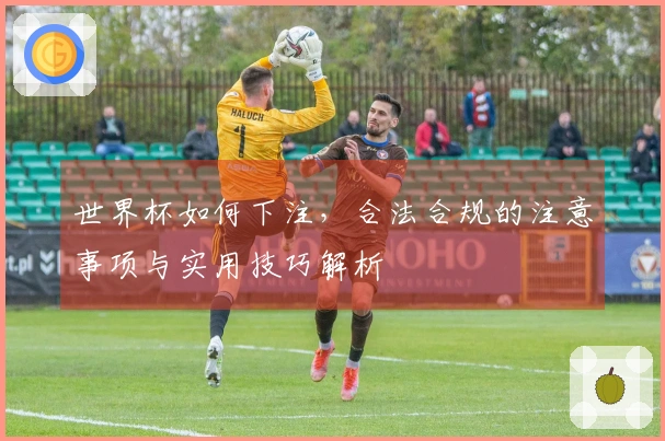 世界杯如何下注，合法合规的注意事项与实用技巧解析