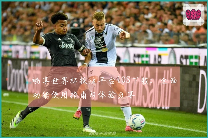 畅享世界杯投注平台iOS下载：全面功能使用指南与体验分享