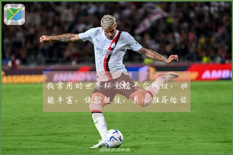 我常用的世界杯竞猜平台网址，功能丰富，体验极佳，真心推荐给你