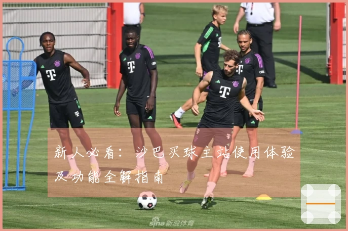 新人必看：沙巴买球主站使用体验及功能全解指南