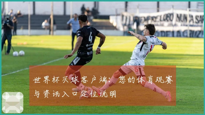 世界杯买球客户端：您的体育观赛与资讯入口定位说明