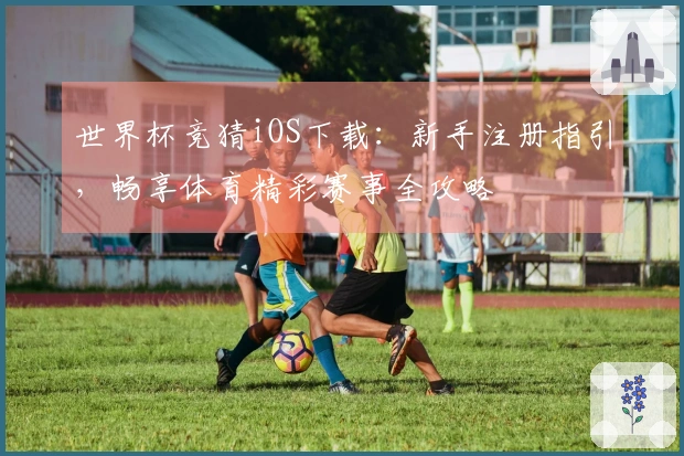 世界杯竞猜iOS下载：新手注册指引，畅享体育精彩赛事全攻略