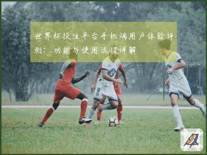 世界杯投注平台手机端用户体验评测：功能与使用流程详解