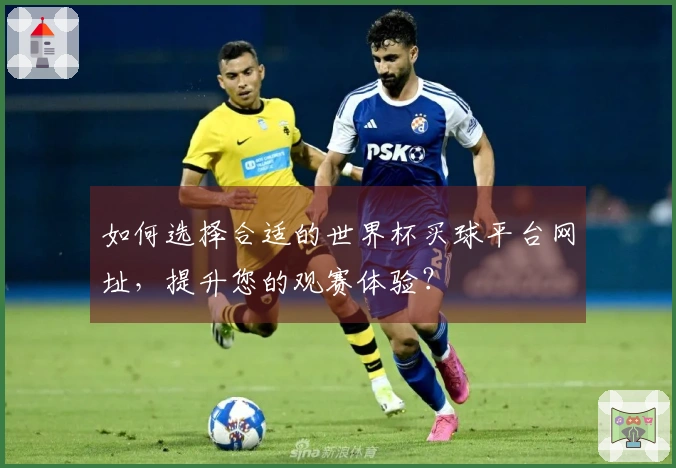 如何选择合适的世界杯买球平台网址，提升您的观赛体验？